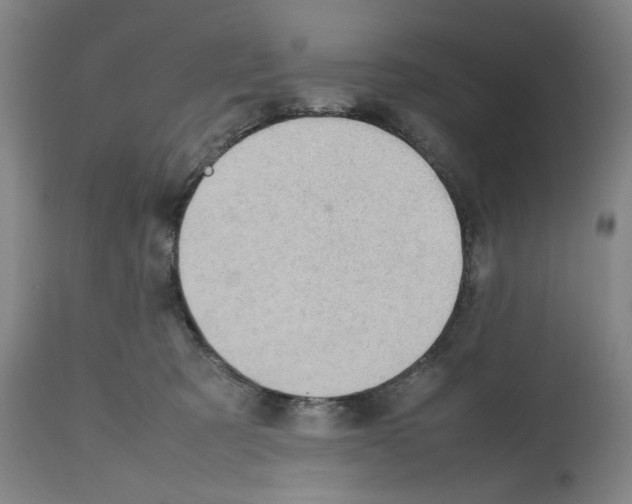 X0000112470321200909281052
