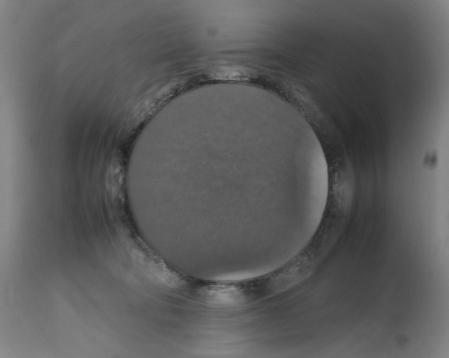 X0000112470322200909281052