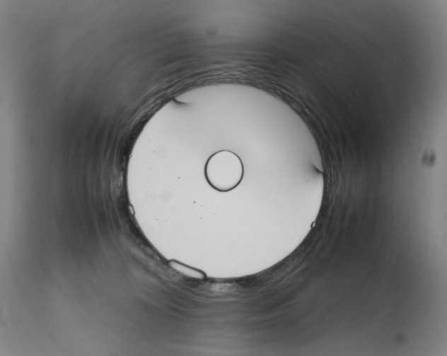 X0000112470324200909281052