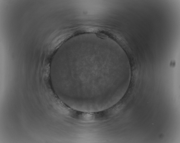 X0000112470325200909281052