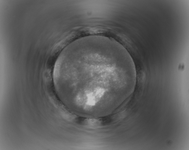 X0000112470327200909281052
