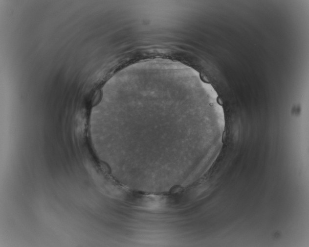 X0000112470328200909281052