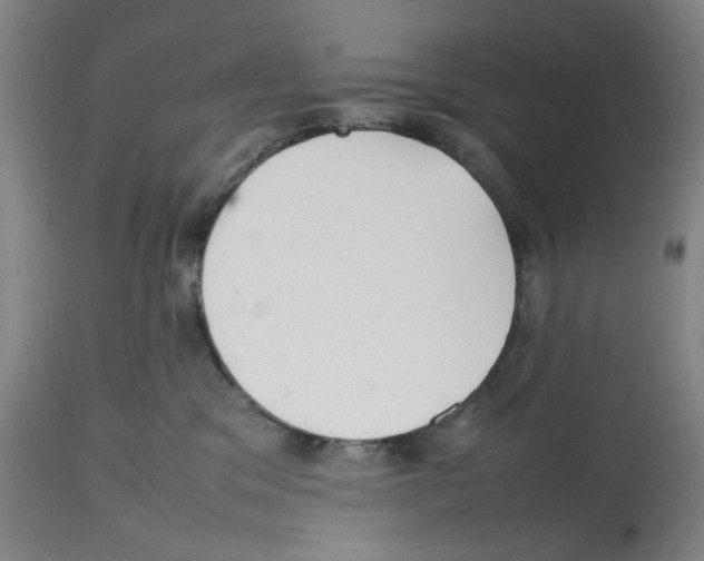X0000112470329200909281052