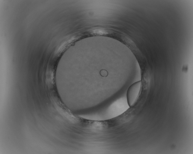 X0000112470330200909281052