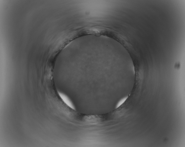 X0000112470331200909281052