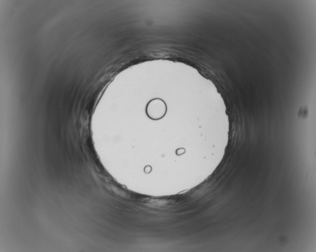 X0000112470332200909281052