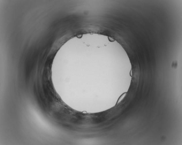 X0000112470334200909281052