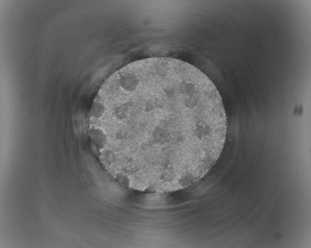 X0000112470335200909281052