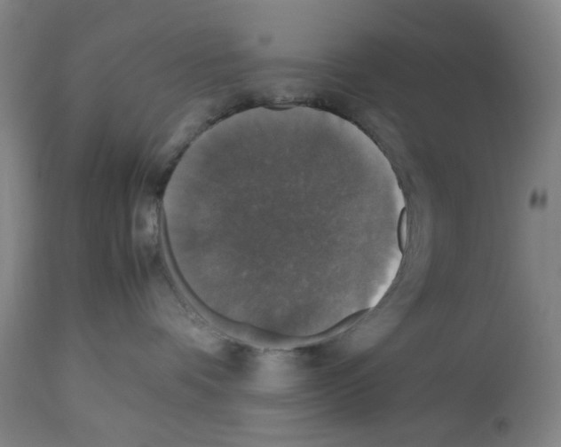 X0000112470336200909281052