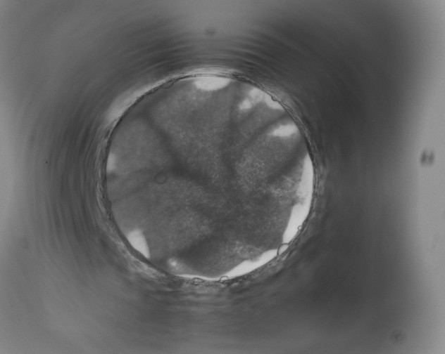 X0000112470337200909281051
