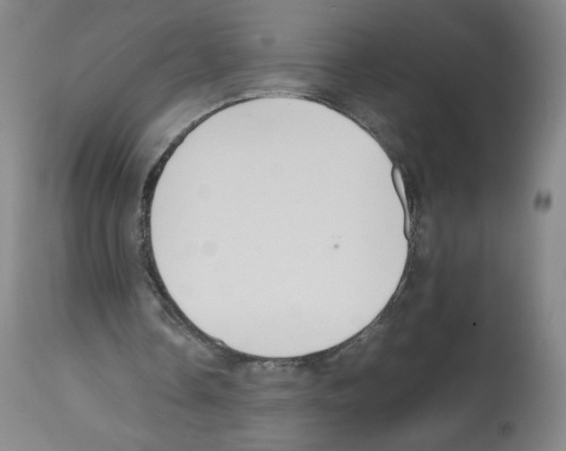 X0000112470338200909281051
