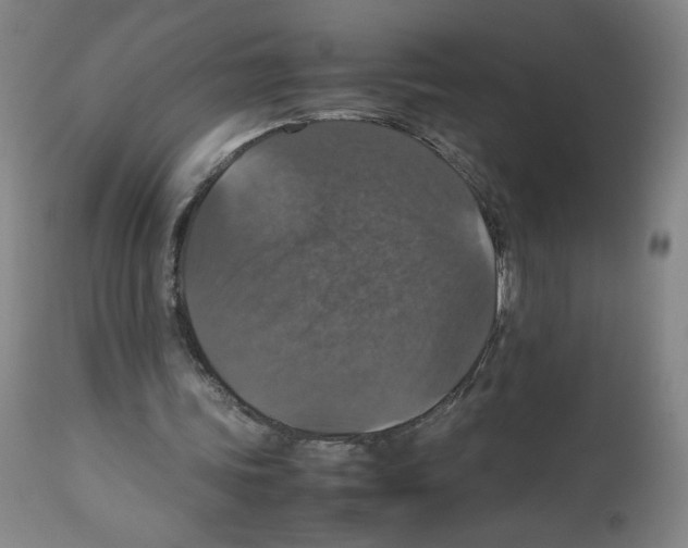 X0000112470339200909281051