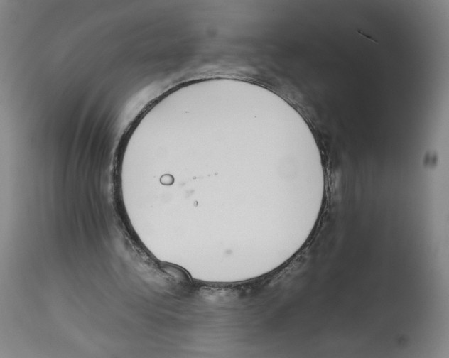 X0000112470340200909281051