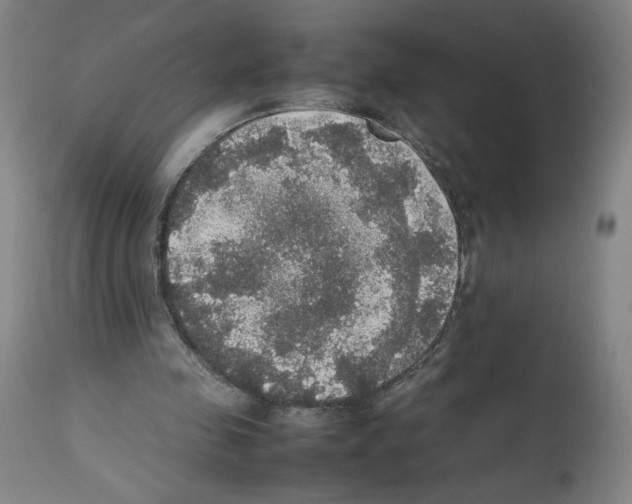 X0000112470341200909281051