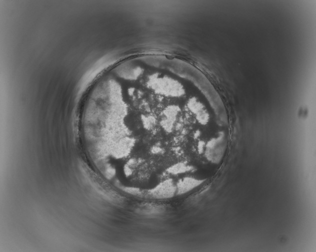 X0000112470343200909281051