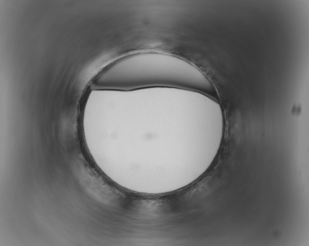 X0000112470344200909281051
