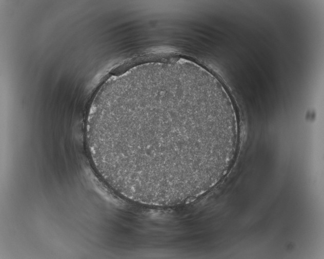X0000112470345200909281051