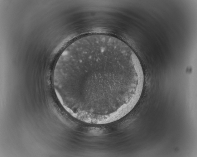 X0000112470347200909281051