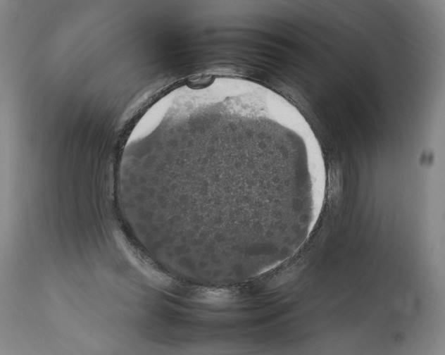 X0000112470349200909281051