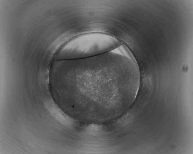 X0000112470350200909281051