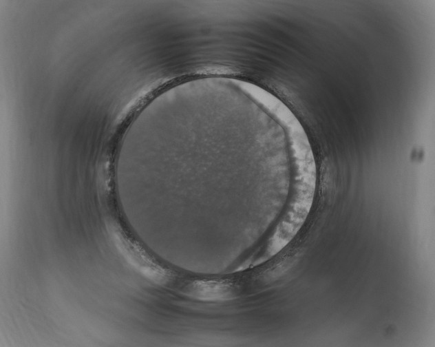 X0000112470351200909281051