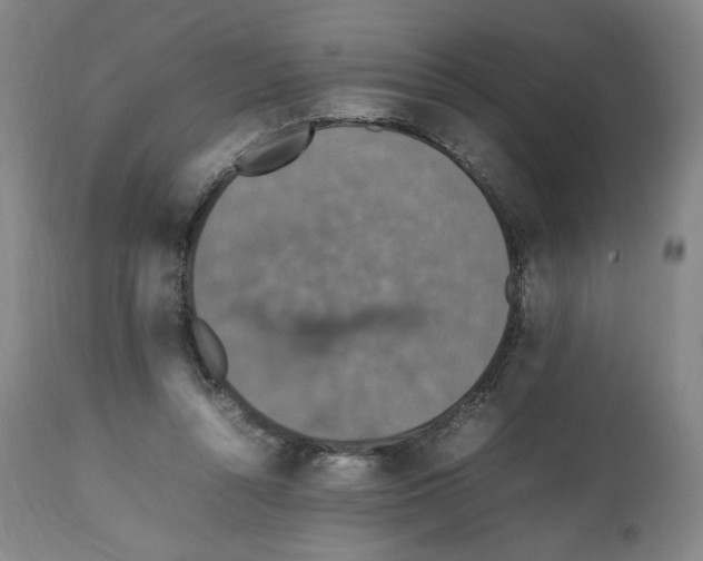X0000112470352200909281051