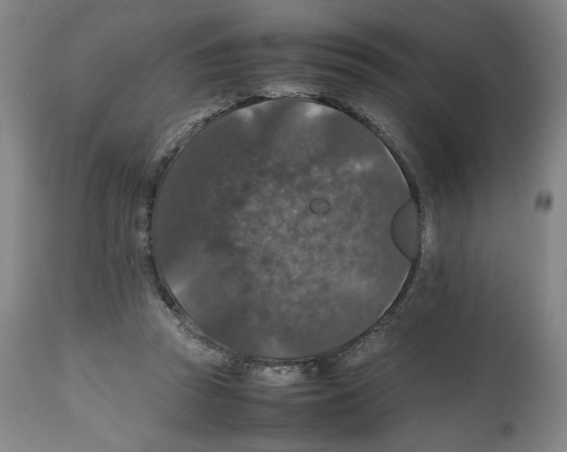 X0000112470353200909281051