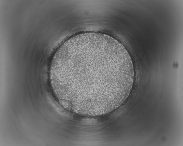 X0000112470354200909281051