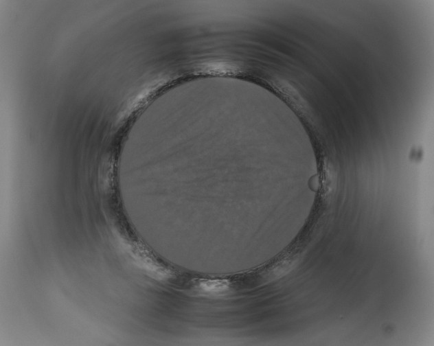 X0000112470355200909281051