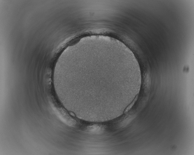 X0000112470356200909281051