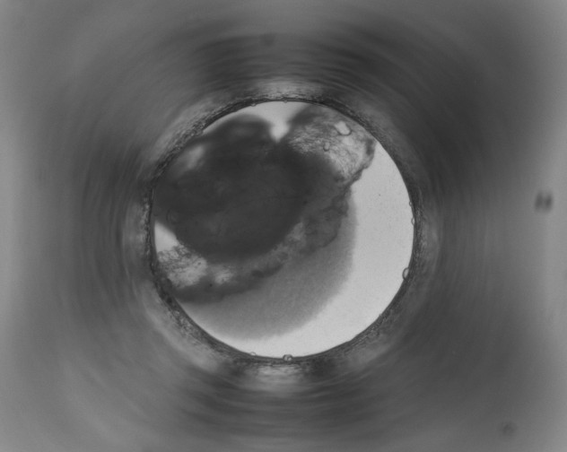 X0000112470357200909281051