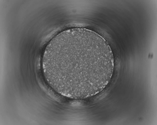 X0000112470358200909281051
