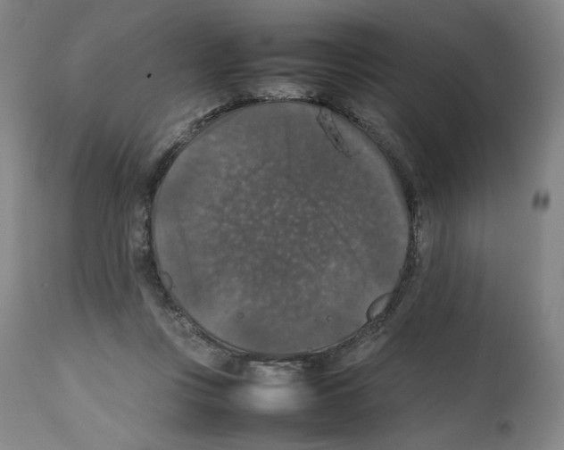 X0000112470359200909281051