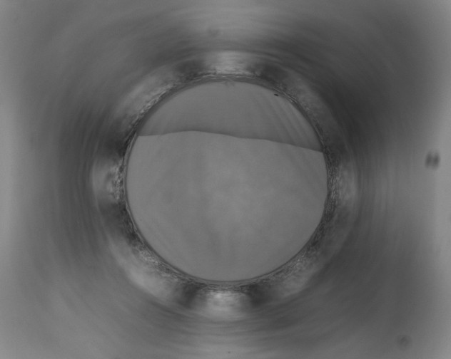 X0000112470360200909281051
