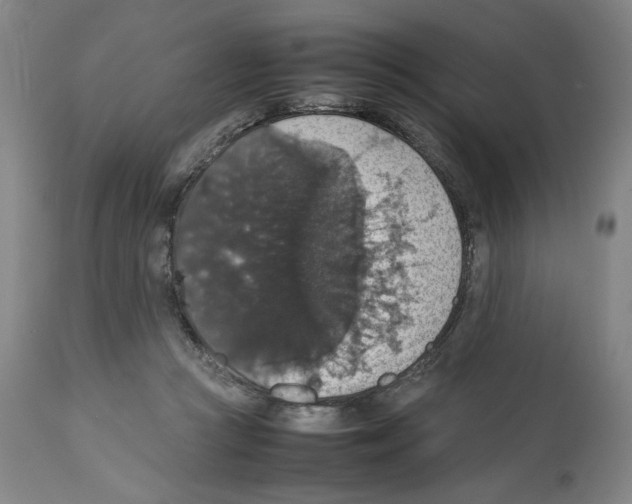 X0000112470361200909281051