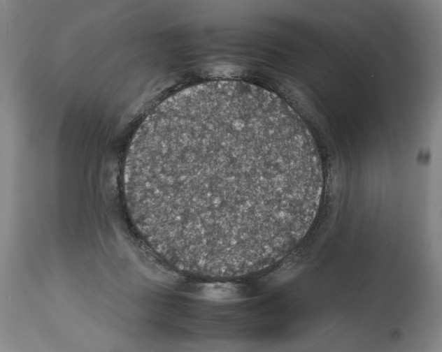 X0000112470363200909281051