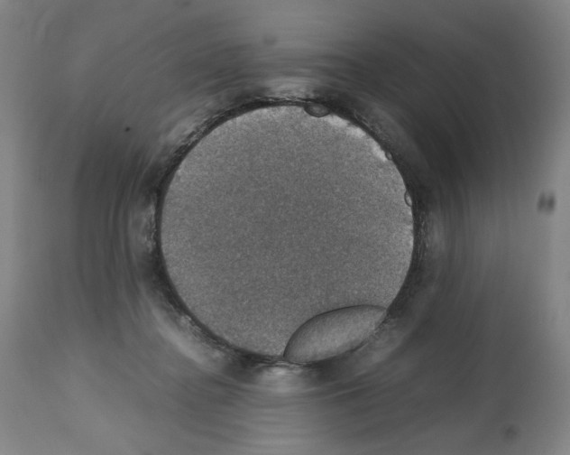 X0000112470364200909281051