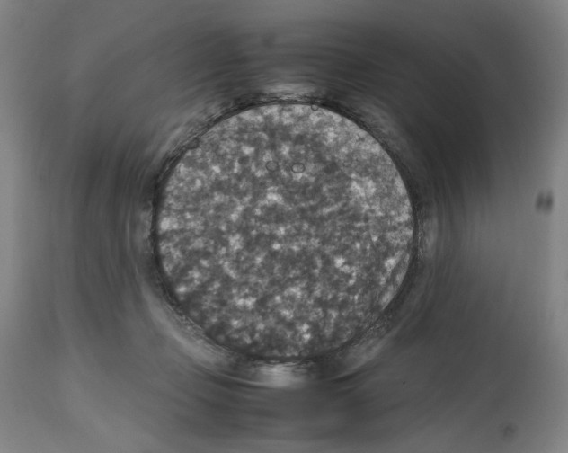 X0000112470365200909281051