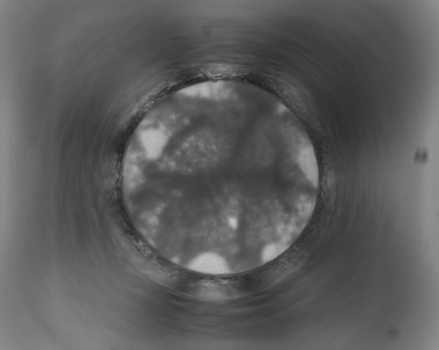 X0000112470367200909281051