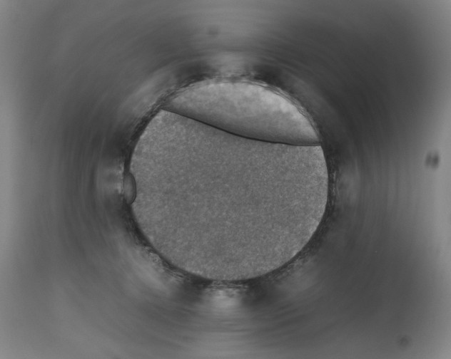 X0000112470368200909281051
