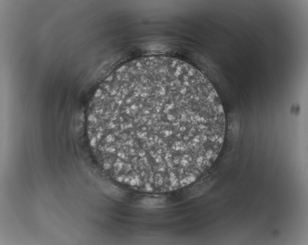 X0000112470369200909281051