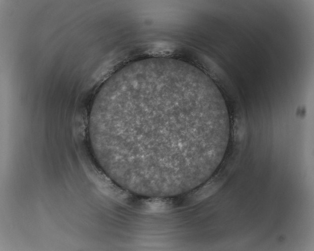 X0000112470370200909281051