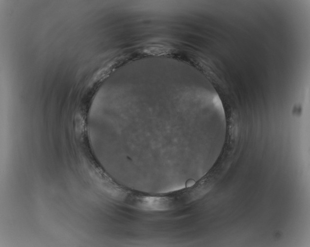 X0000112470371200909281051