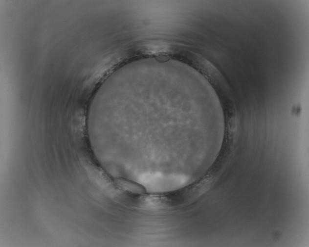 X0000112470372200909281051