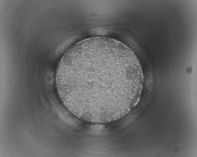 X0000112470374200909281051