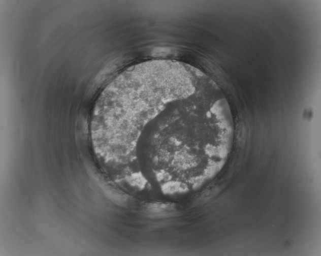 X0000112470375200909281051