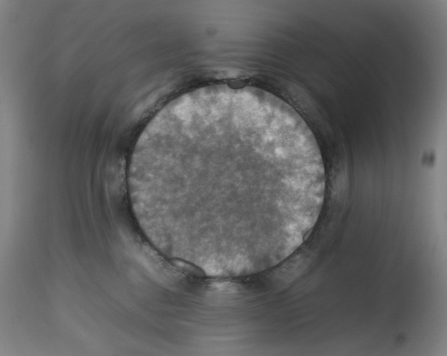 X0000112470376200909281051