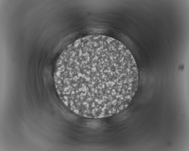 X0000112470377200909281051