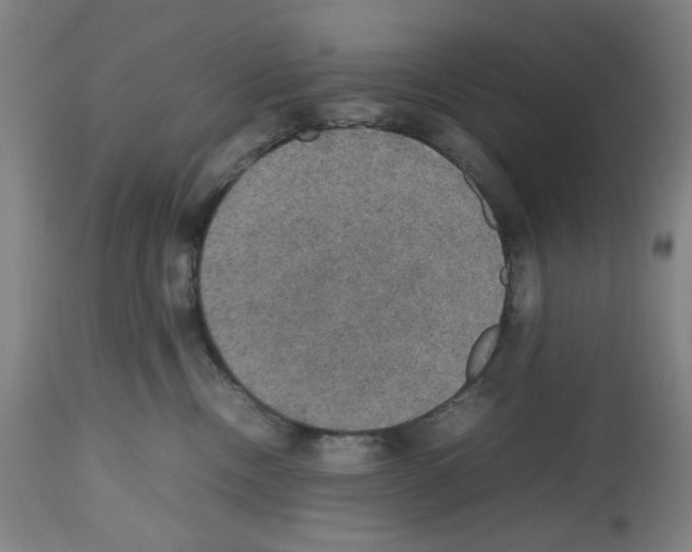 X0000112470378200909281051
