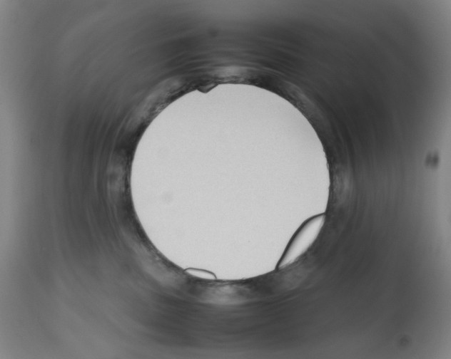 X0000112470379200909281051